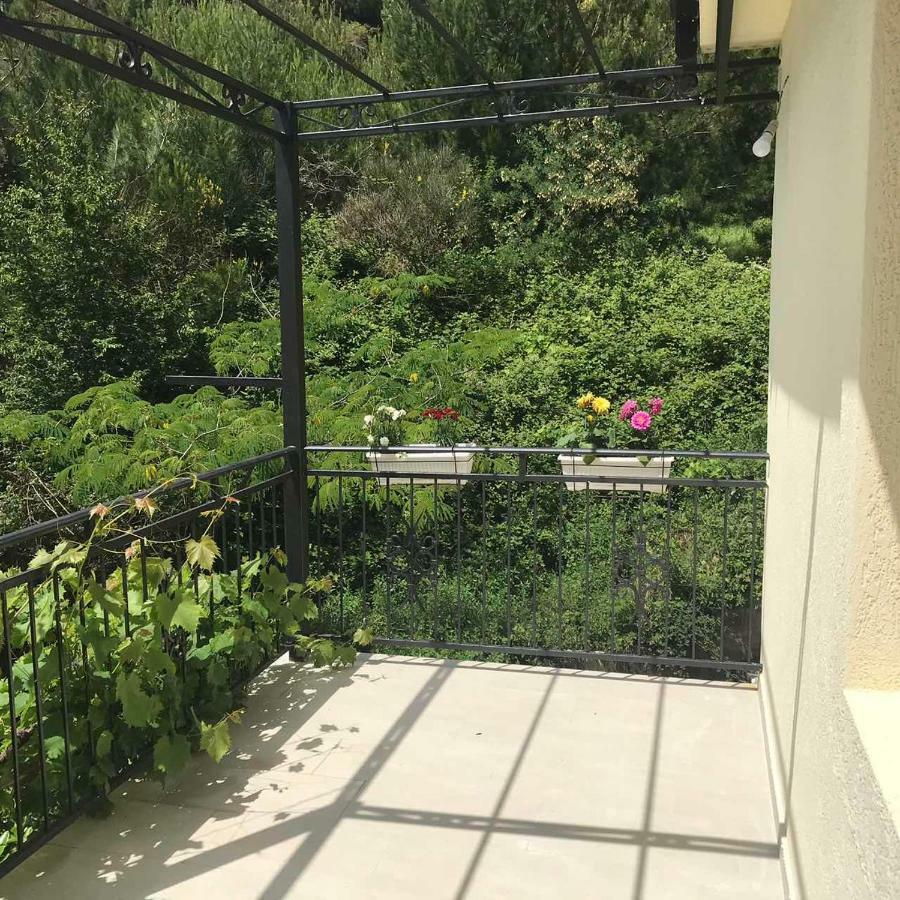 Apartments Petkovic Petrovac Ngoại thất bức ảnh