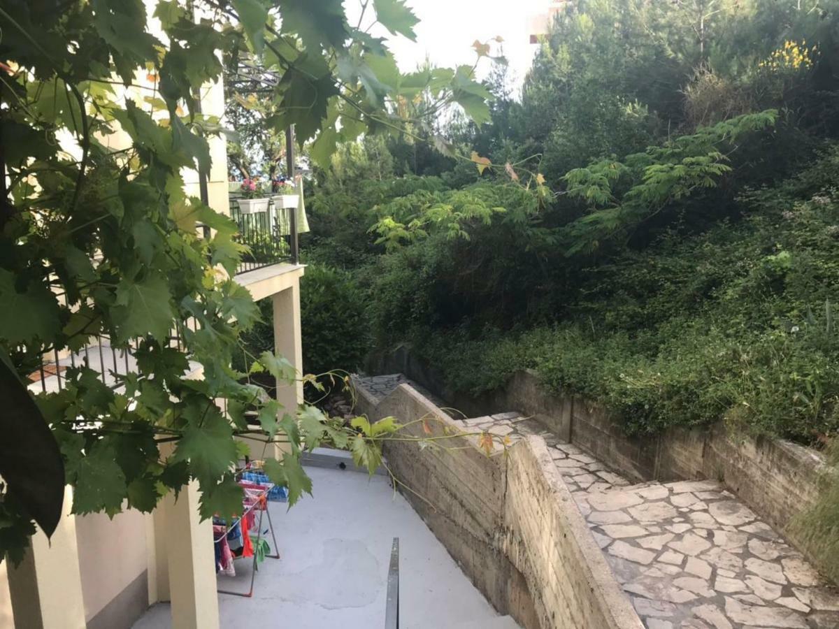 Apartments Petkovic Petrovac Ngoại thất bức ảnh
