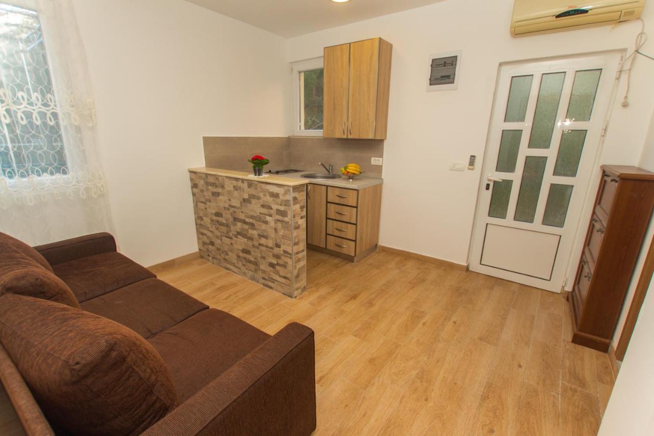 Apartments Petkovic Petrovac Ngoại thất bức ảnh